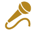 Karaoke icon